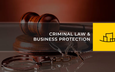 CRIMINAL LAW & BUSINESS PROTECTION