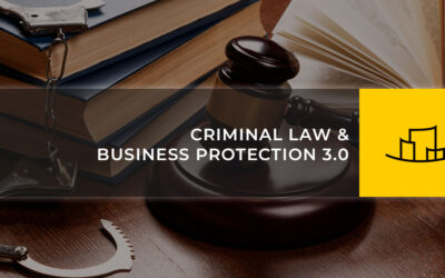 CRIMINAL LAW & BUSINESS PROTECTION 3.0